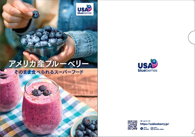 USブルーベリークリアファイル
