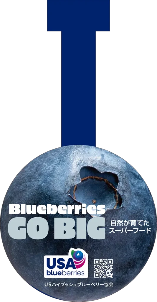 USブルーベリーGOBIG スイングPOP