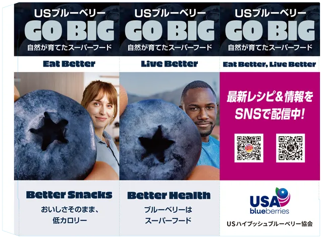 USブルーベリー三角POP