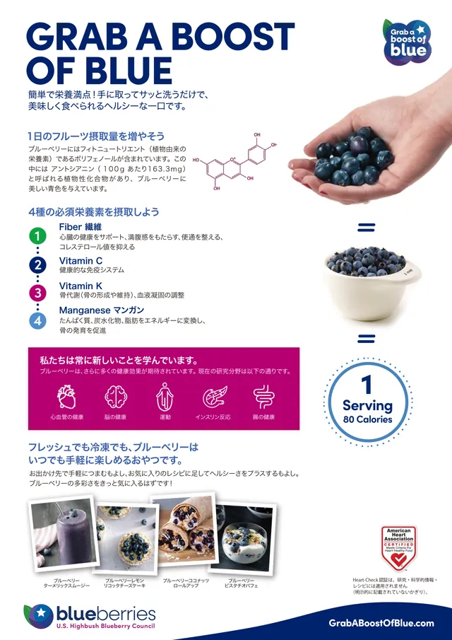 ブルーベリー 栄養・効能解説ポスター